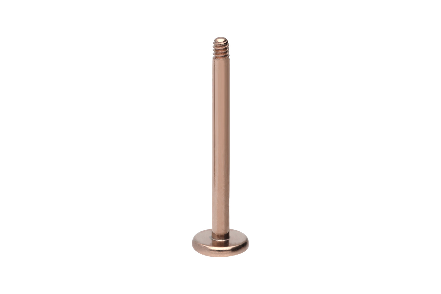 Titan Labret Piercing ohne Kugel
